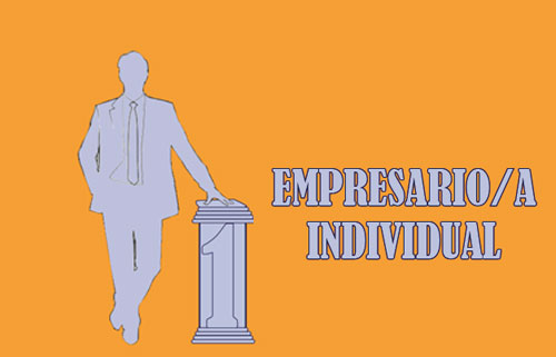 Publicación El empresario individual